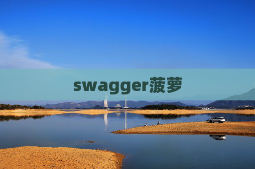swagger菠萝 swagger菠萝